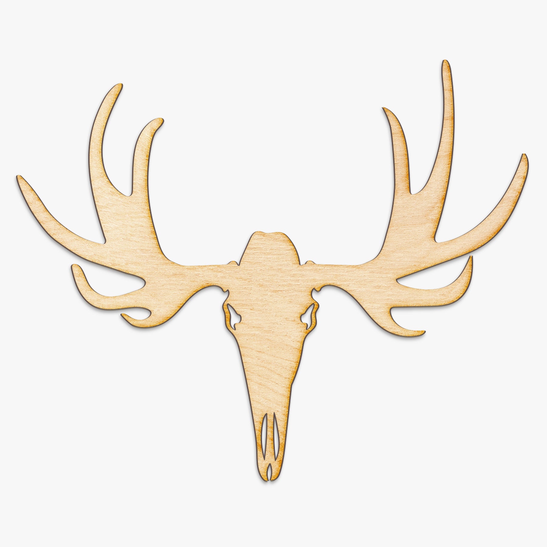 Moose Skull Wood Cut