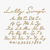 Custom Lolly Script Word Wood Sign